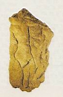 Chasseur de Laussel, Dordogne, 27-22000 ans
